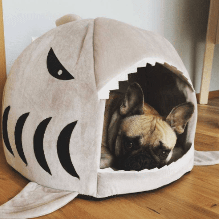 Frodo Shark Dog Bed | Cozy Cave for Small Breeds, Self-Warming Interior 0