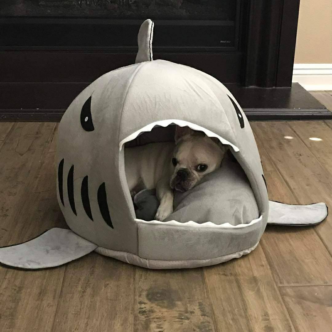 Frodo Shark Dog Bed | Cozy Cave for Small Breeds, Self-Warming Interior 5