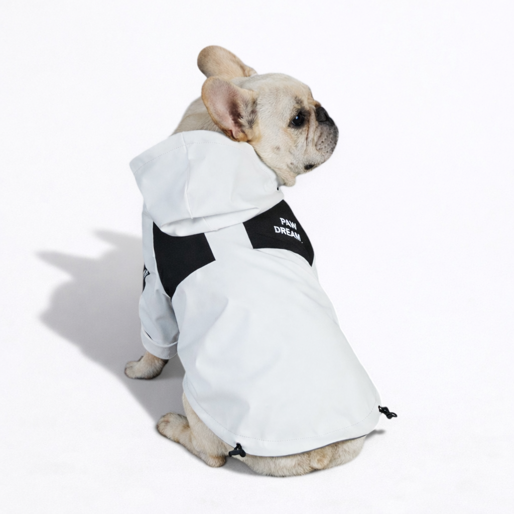 FrostPaw Dog Raincoat | Waterproof, Windproof Dog Jacket for Small Breeds 5
