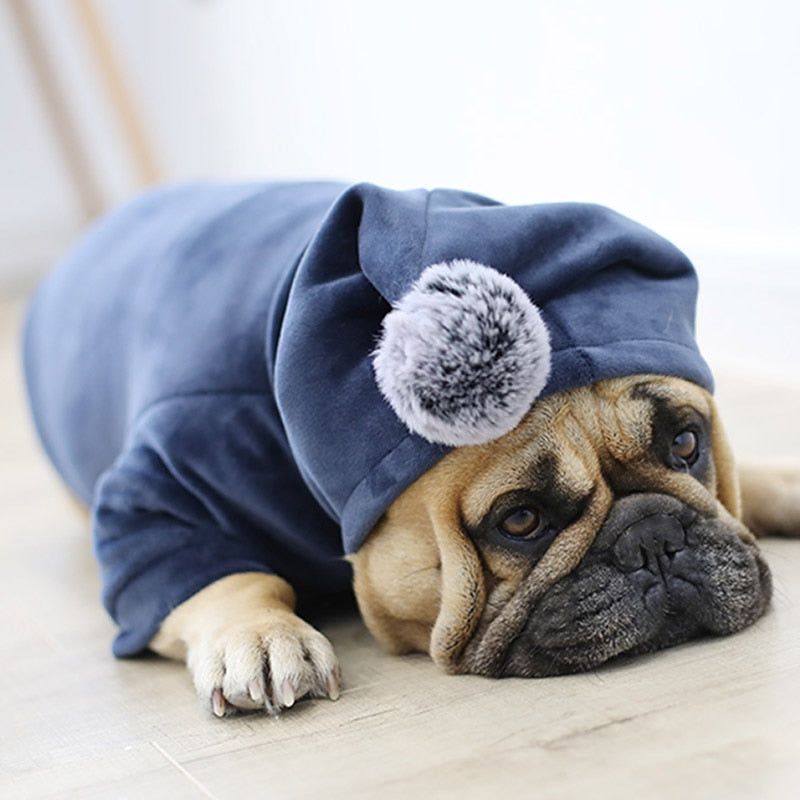 Frosty Dog Jacket | Wind-Proof, Lightweight Winter Coat for French Bulldogs 0