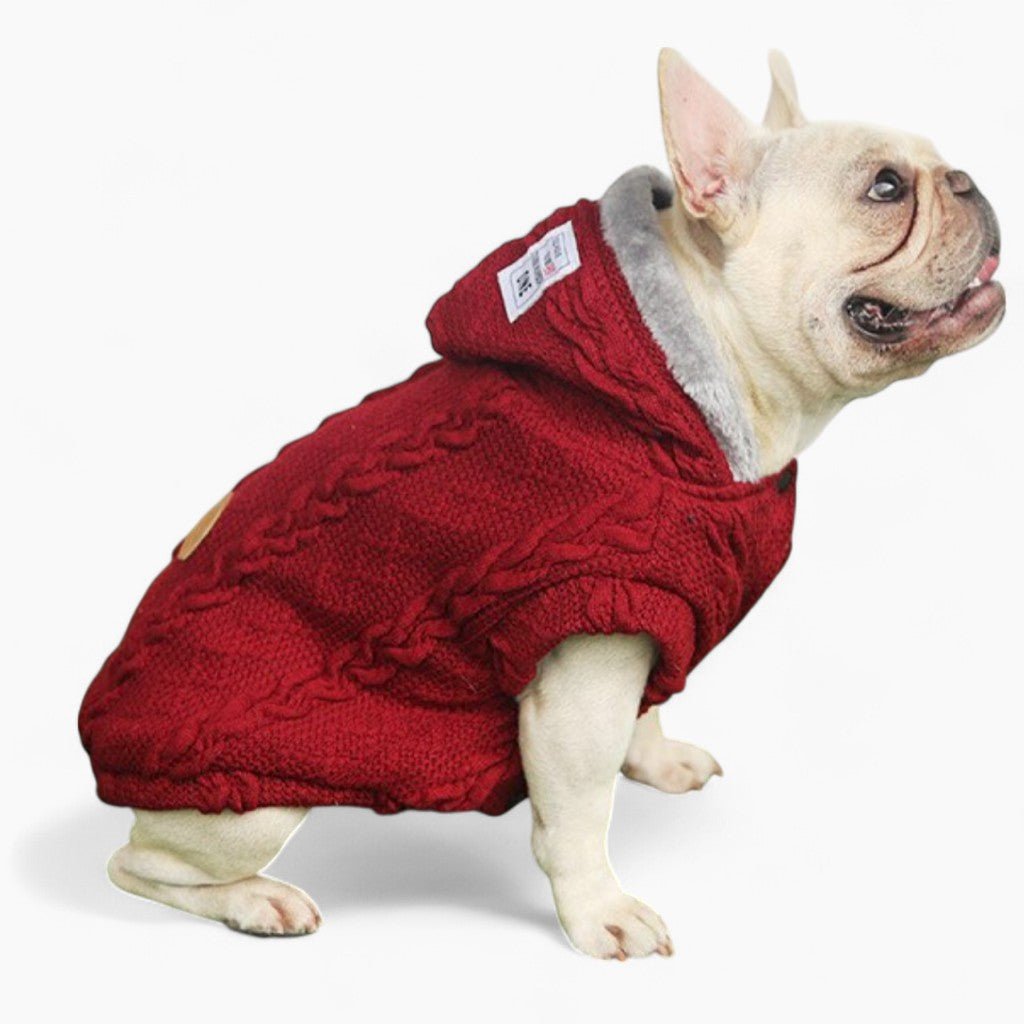 Gizmo Small Dog Sweater | 100% Cotton, Cozy Winter Wear 1