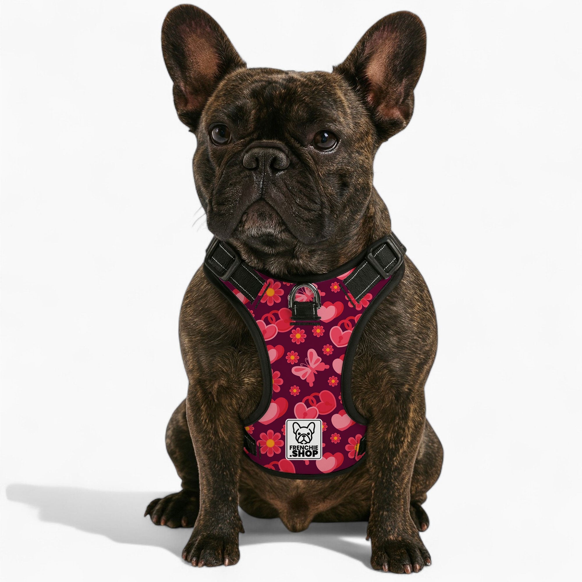 Jasper Dog Harness | No-Pull, Adjustable Fit for French Bulldogs 1