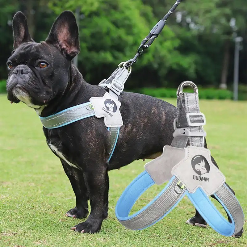 Lumi Dog Harness | No-Pull, Reflective Design for French Bulldogs 3