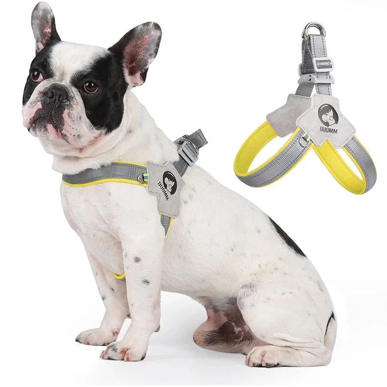 Lumi Dog Harness | No-Pull, Reflective Design for French Bulldogs 7