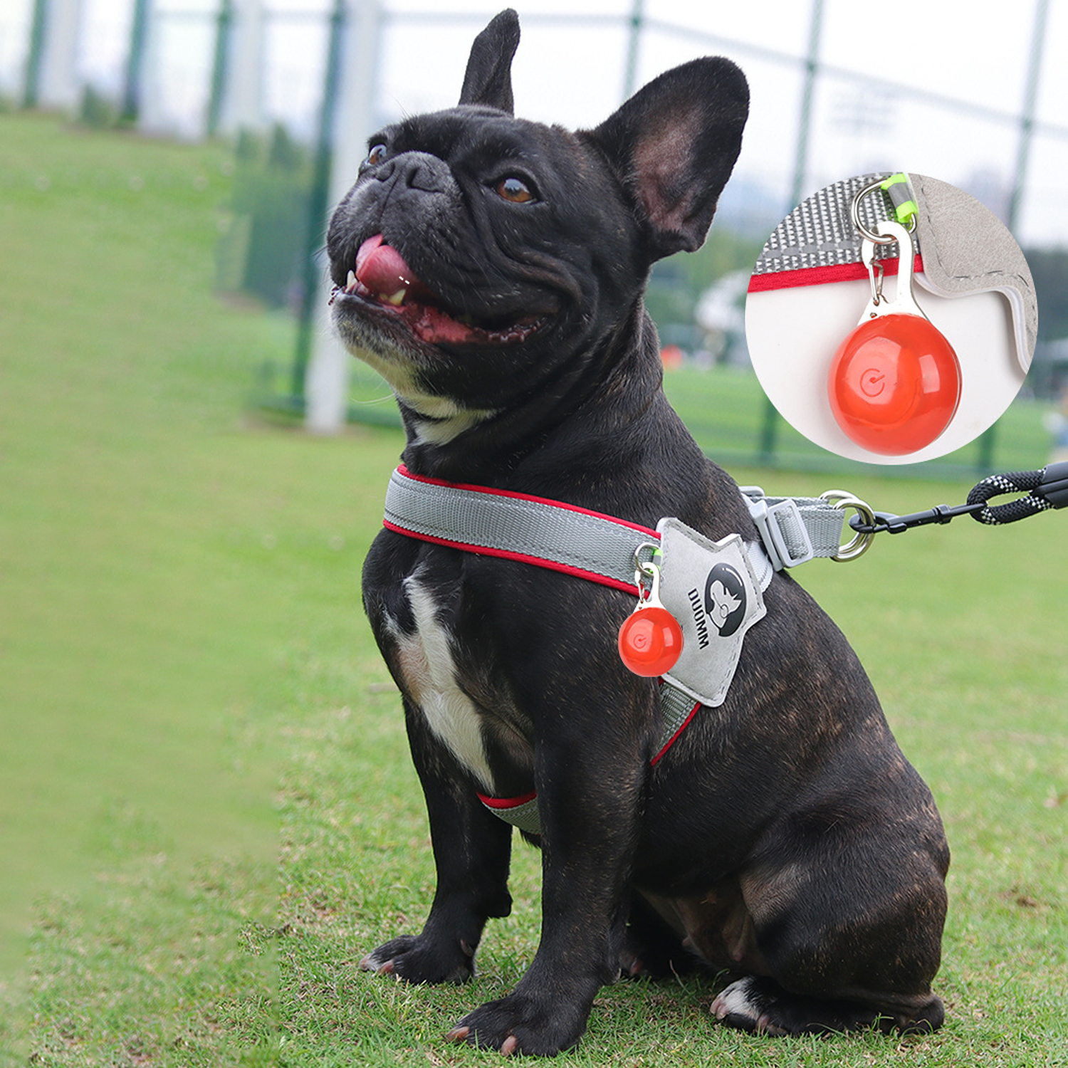 Lumi Dog Harness | No-Pull, Reflective Design for French Bulldogs 9