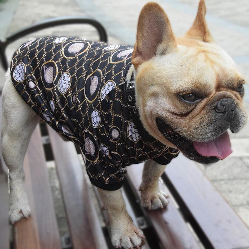 Milo Dog Shirt | Lightweight Polyester for French Bulldogs 2