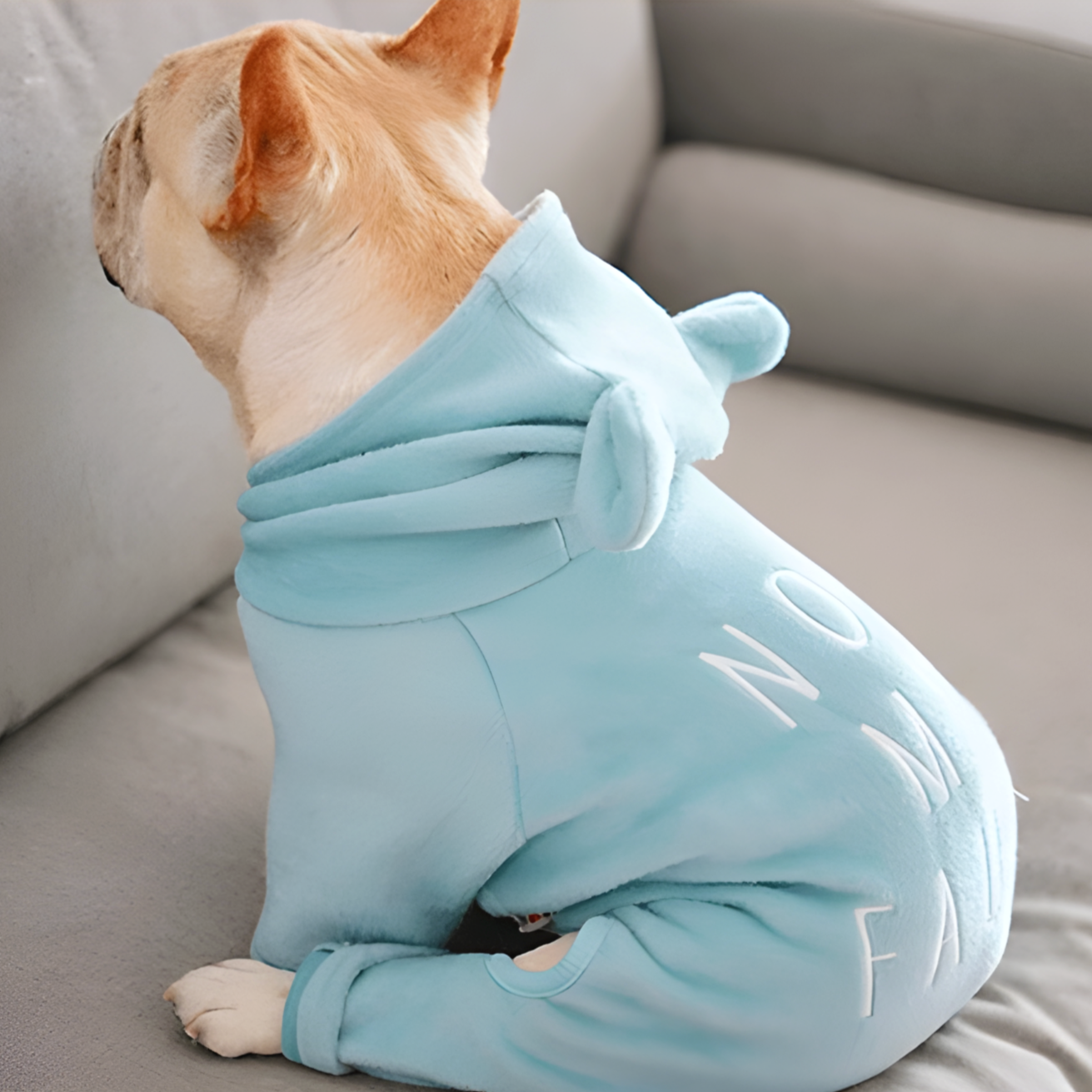 Nora Frenchie Hoodie | Cozy Fleece with Bear Ears 0