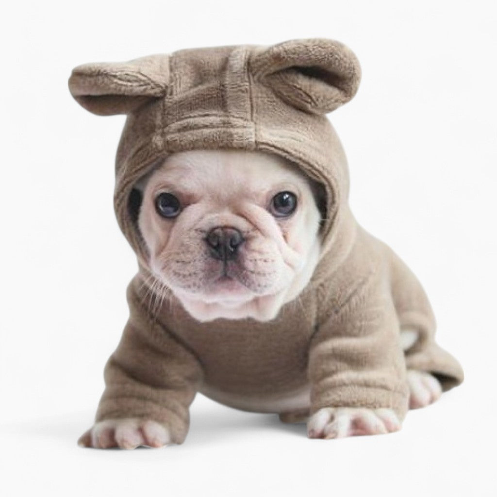 Nora Frenchie Hoodie | Cozy Fleece with Bear Ears 1