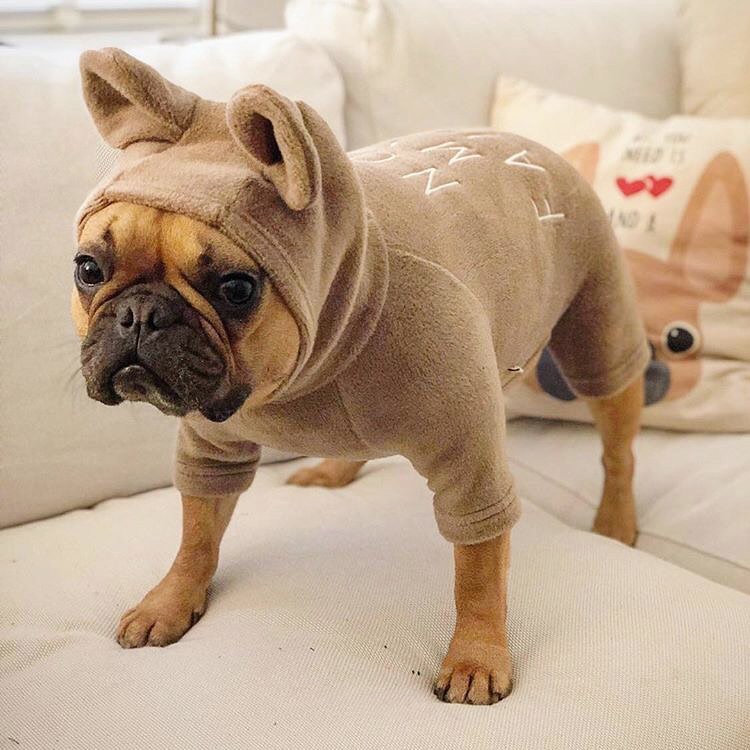 Nora Frenchie Hoodie | Cozy Fleece with Bear Ears 7