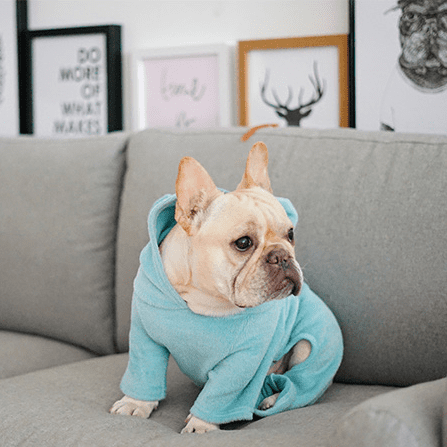 Nora Frenchie Hoodie | Cozy Fleece with Bear Ears 8
