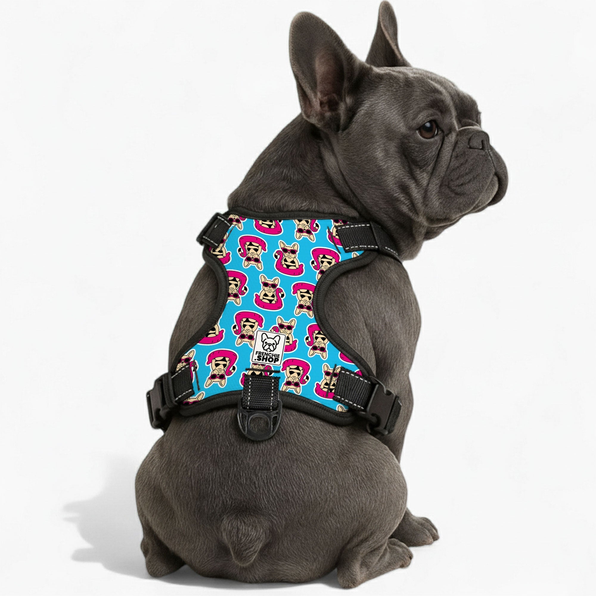 Pawtastic Dog Harness | No-Pull Design, Adjustable Fit for French Bulldogs 0