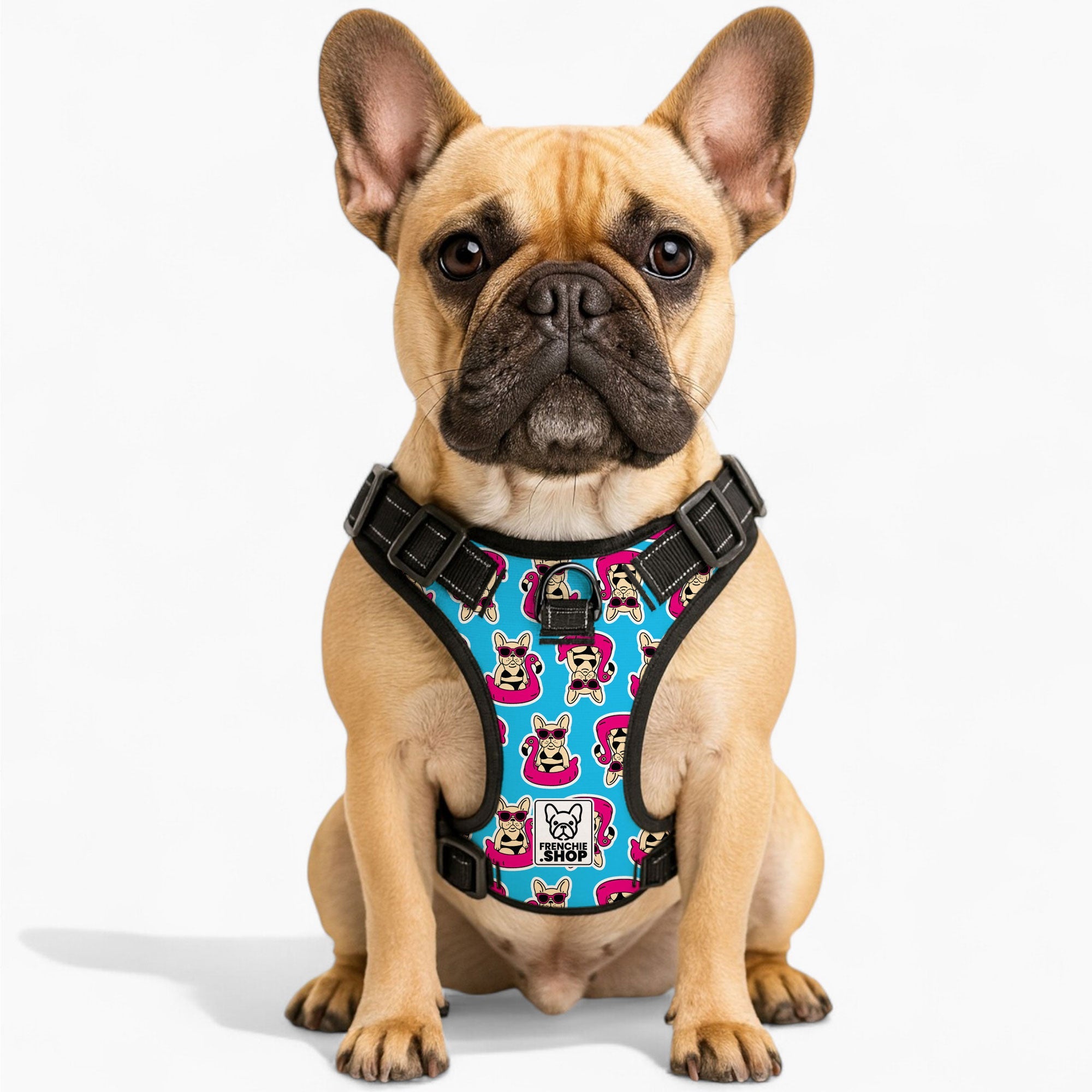Pawtastic Dog Harness | No-Pull Design, Adjustable Fit for French Bulldogs 1