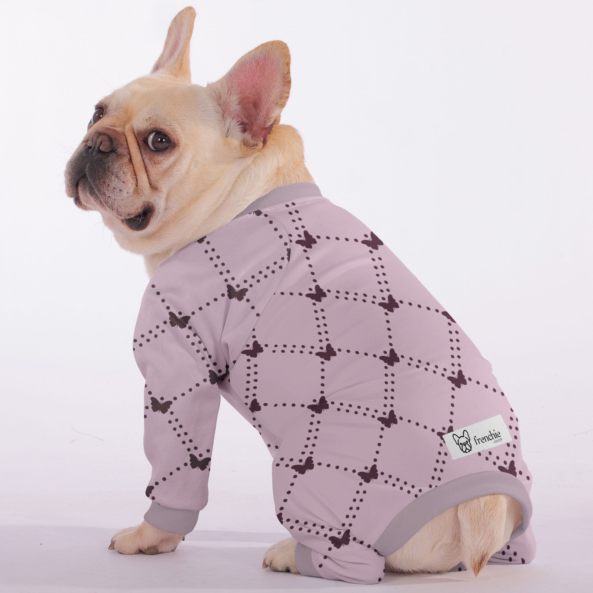 Quinn Dog Pajamas | Soft, Breathable Fabric for Cozy Comfort 2