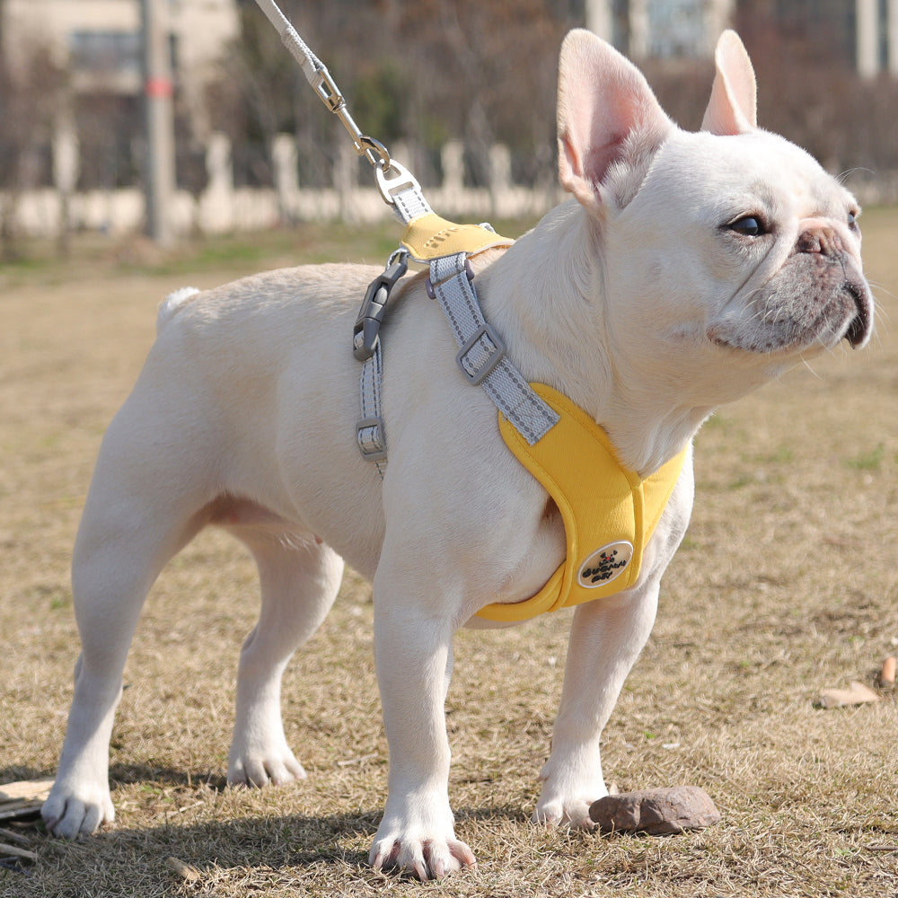 Ruff Frenchie Harness | Breathable, Reflective Leash Set for French Bulldogs 0