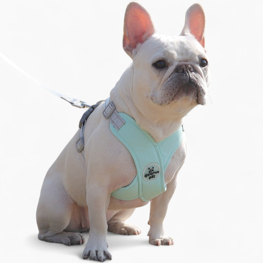 Ruff Frenchie Harness | Breathable, Reflective Leash Set for French Bulldogs 1