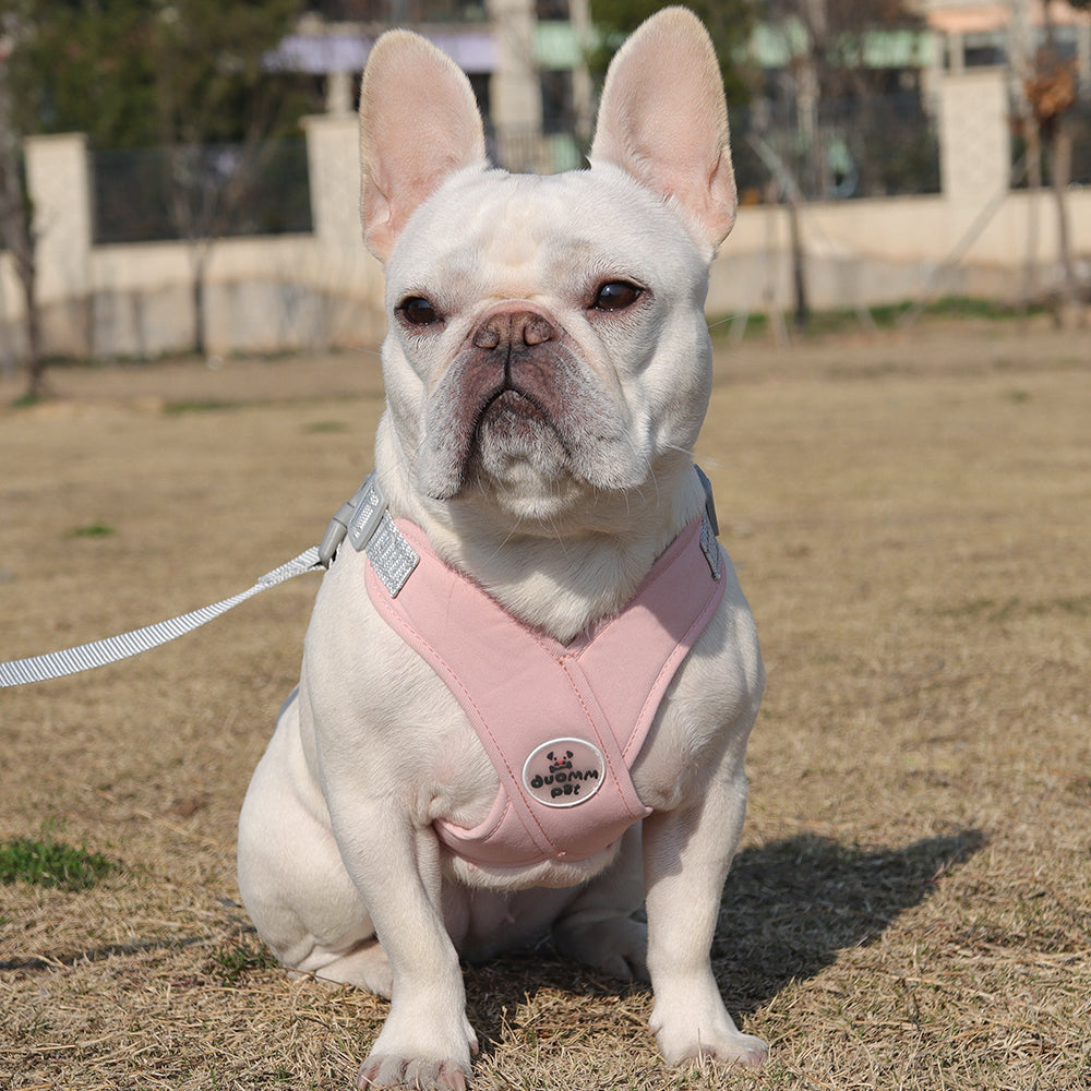 Ruff Frenchie Harness | Breathable, Reflective Leash Set for French Bulldogs 3
