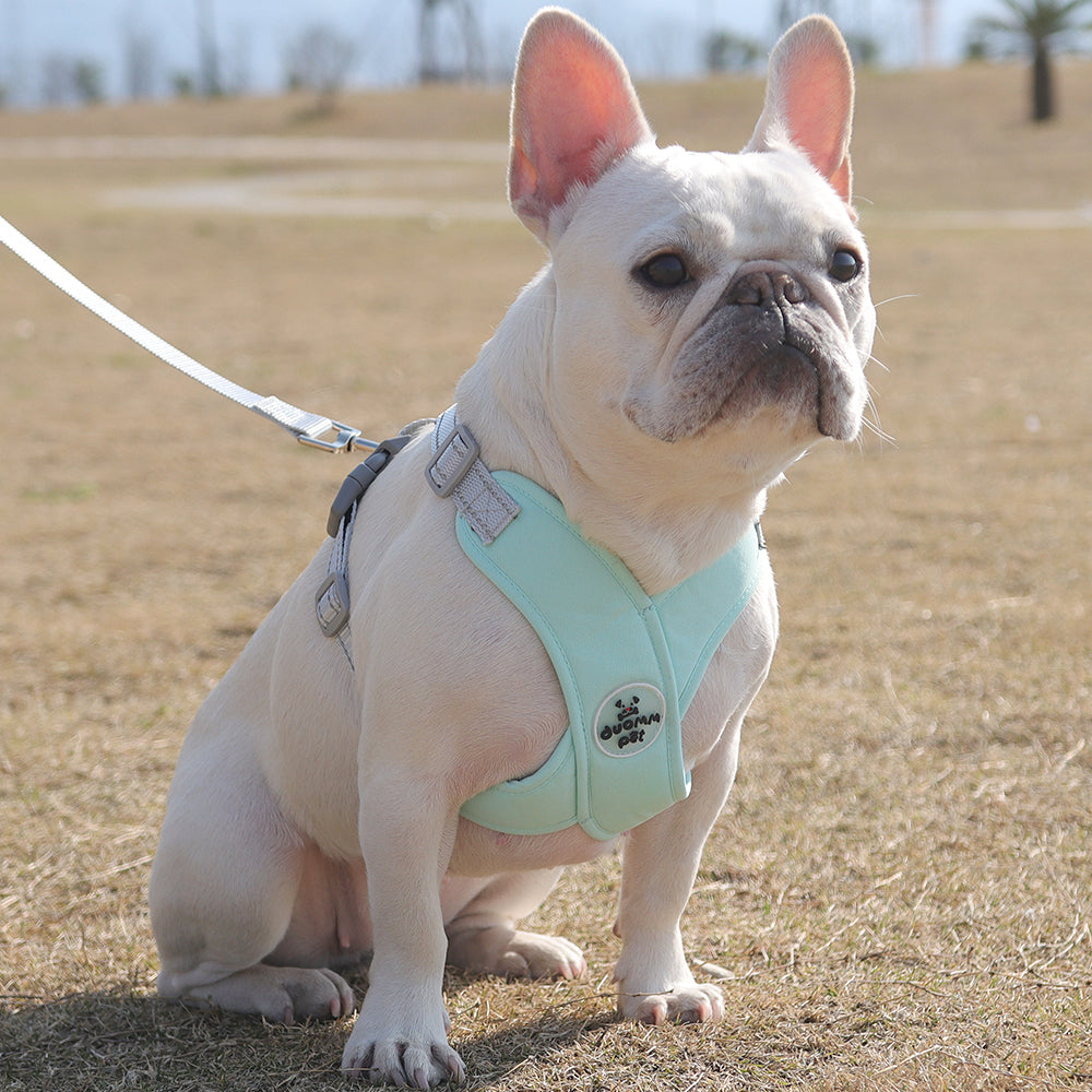 Ruff Frenchie Harness | Breathable, Reflective Leash Set for French Bulldogs 4