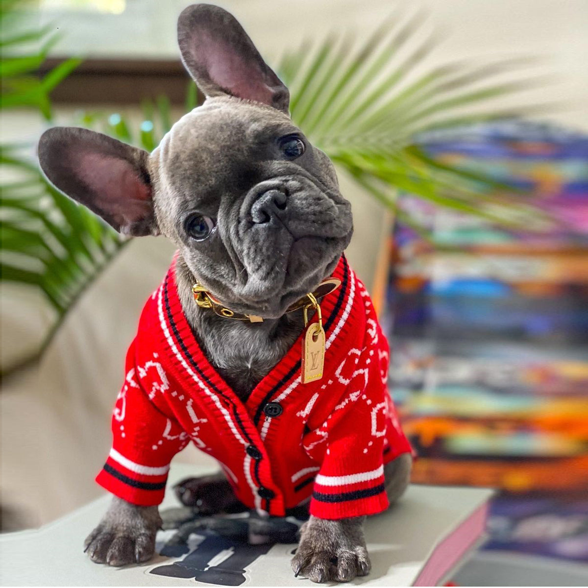 Snoopy Small Dog Sweater | Soft Polyester, Stylish Plaid 0