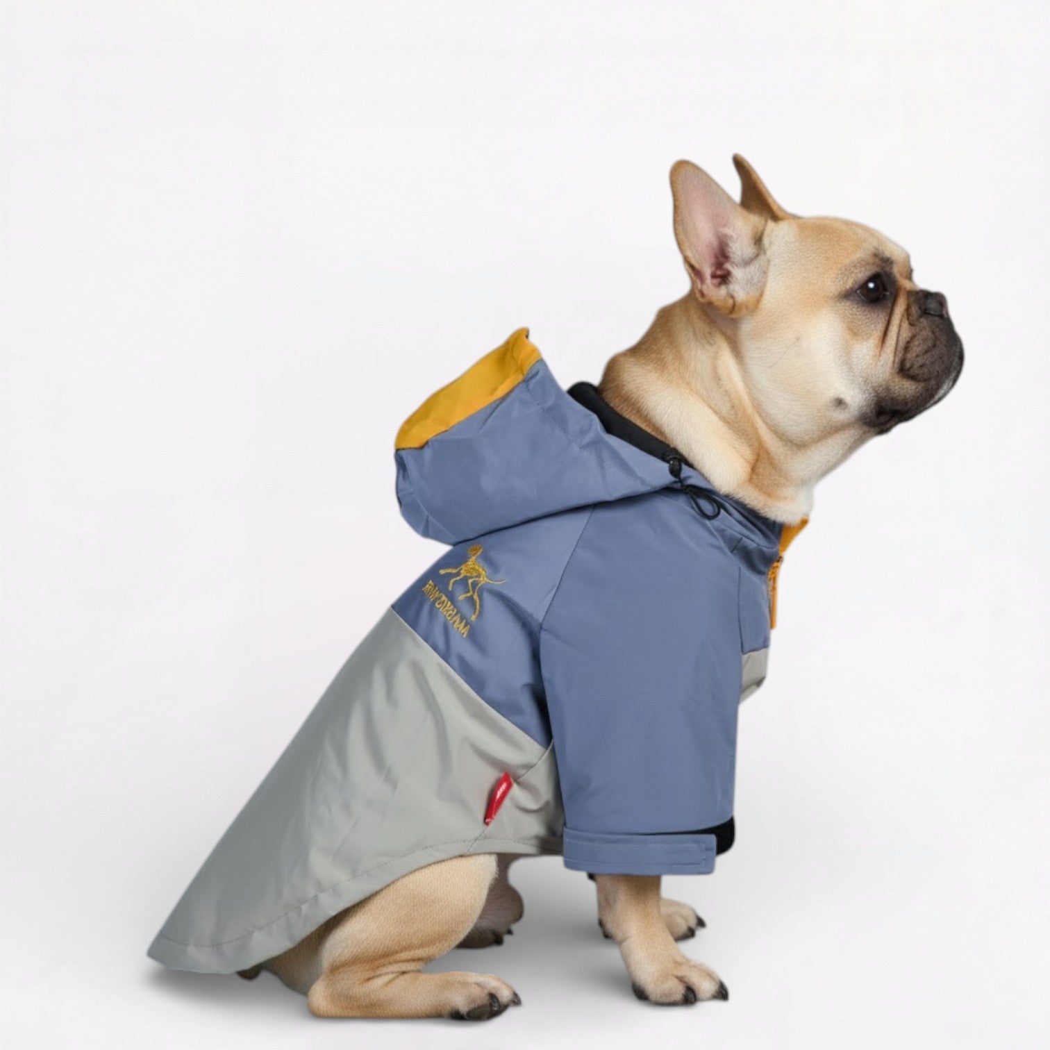Sparky Dog Raincoat | Waterproof, Windproof Jacket for French Bulldogs 5