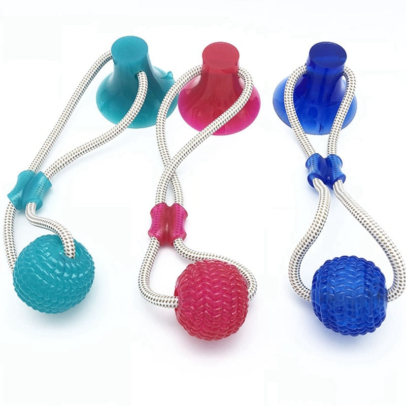 Suction Frenchie TugToy | Bite-Resistant, Engaging Play for Aggressive Chewers 3