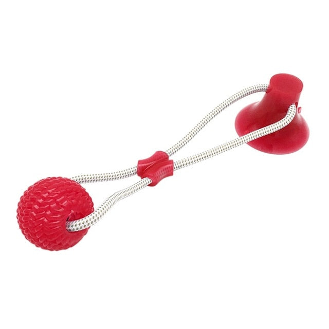 Suction Frenchie TugToy | Bite-Resistant, Engaging Play for Aggressive Chewers 4