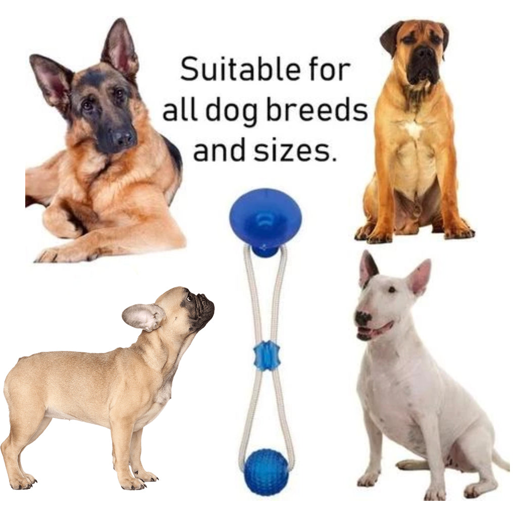 Suction Frenchie TugToy | Bite-Resistant, Engaging Play for Aggressive Chewers 7